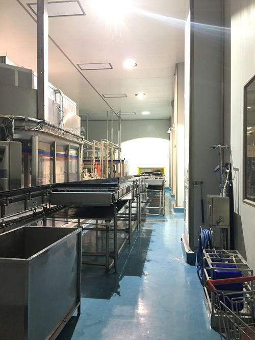 食品厂qs无菌净化生产车间施工团队