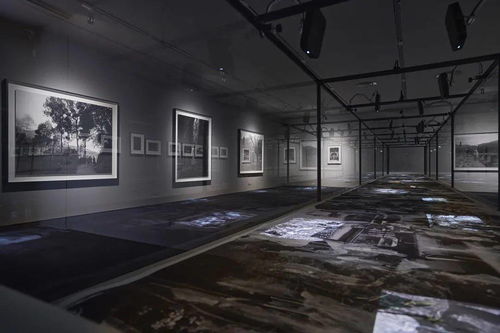 香格纳画廊 2020年度展览回顾 上