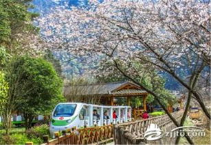 市区接送 至尊vip品质3日游 张家界,袁家界,阿凡达悬浮山,金鞭溪大峡谷,十里画廊,黄龙洞,天门山 ,马蜂窝自由行 马蜂窝自由行