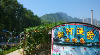 百里山水画廊白河渔家预订