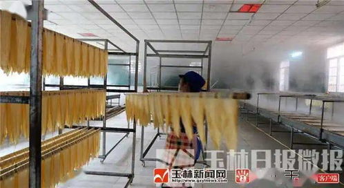 广西容县自良镇雅山食品腐竹厂 容县生活同城好店