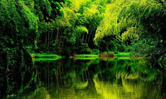 自驾秋色川渝风景廊道 品味武隆 游乌江百里画廊