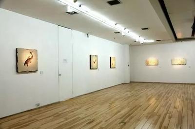 王焱个展在今日画廊隆重开幕