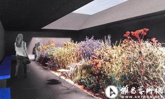 英国蛇形画廊夏季户外馆设计揭晓 建筑与艺术的年度盛事